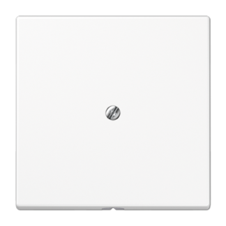 LS990 senterplate m/uttak for kabel - Bilde 2