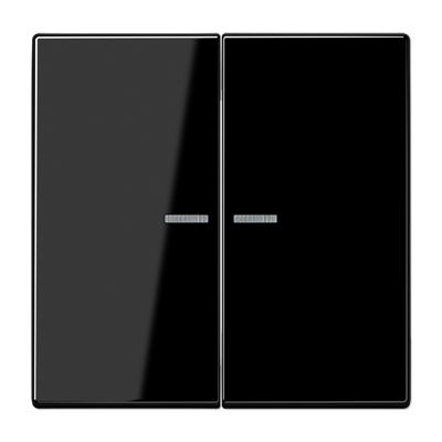 KNX RF+ LS990 LB front 2-kanal