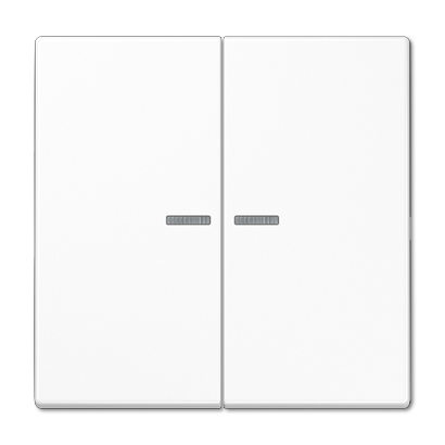 KNX RF+ LS990 LB front 2-kanal