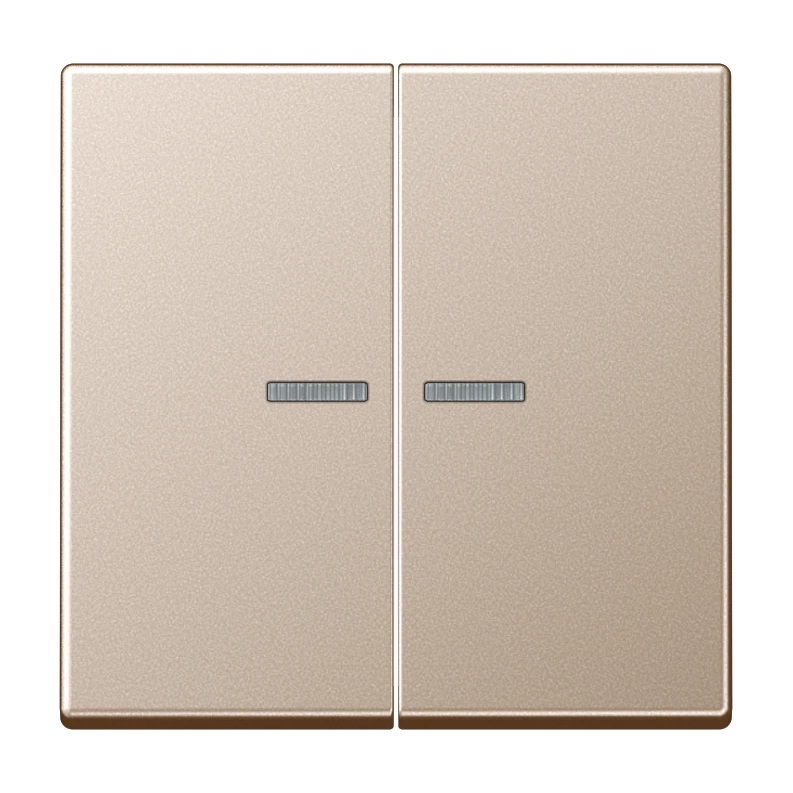 JUNG HOME A/AS trykknapp, 2 vipper, champagne