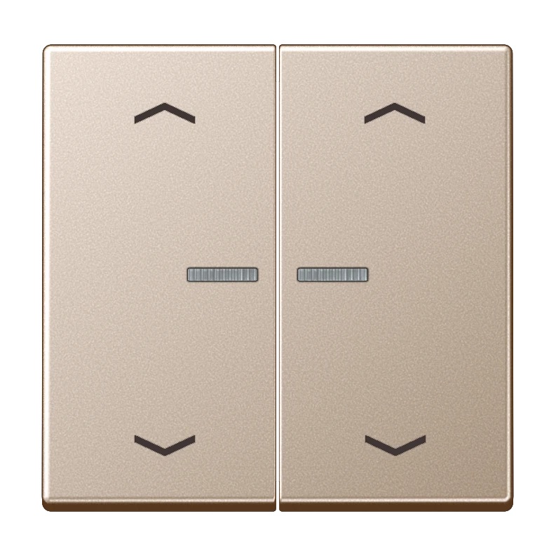 JUNG HOME A/AS trykknapp, 2 vipper med piler, champagne