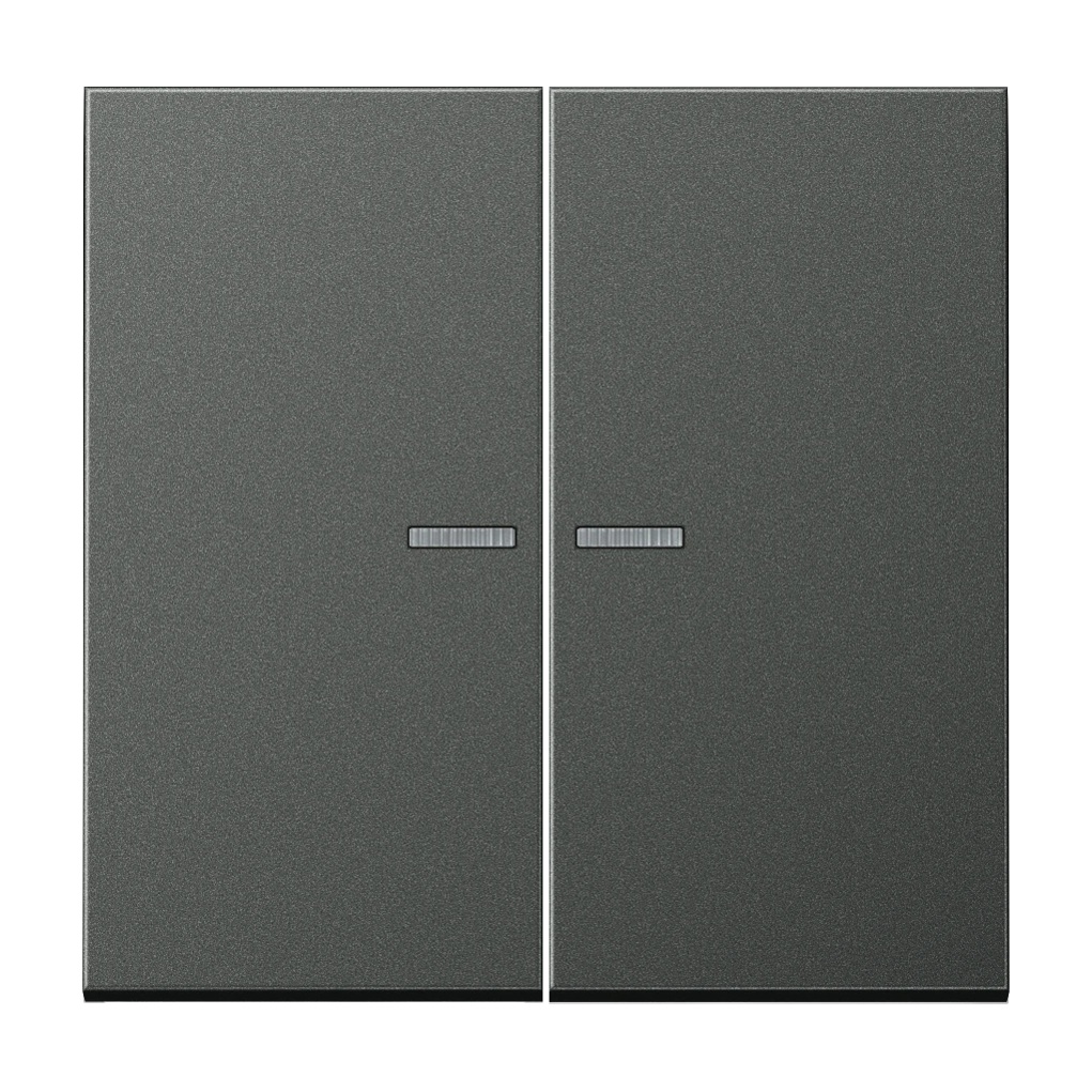 JUNG HOME LS metall trykknapp, 2 vipper, anthracite (aluminium lacquered)