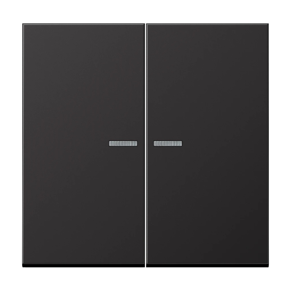 JUNG HOME LS metall trykknapp, 2 vipper, dark (aluminium lacquered)